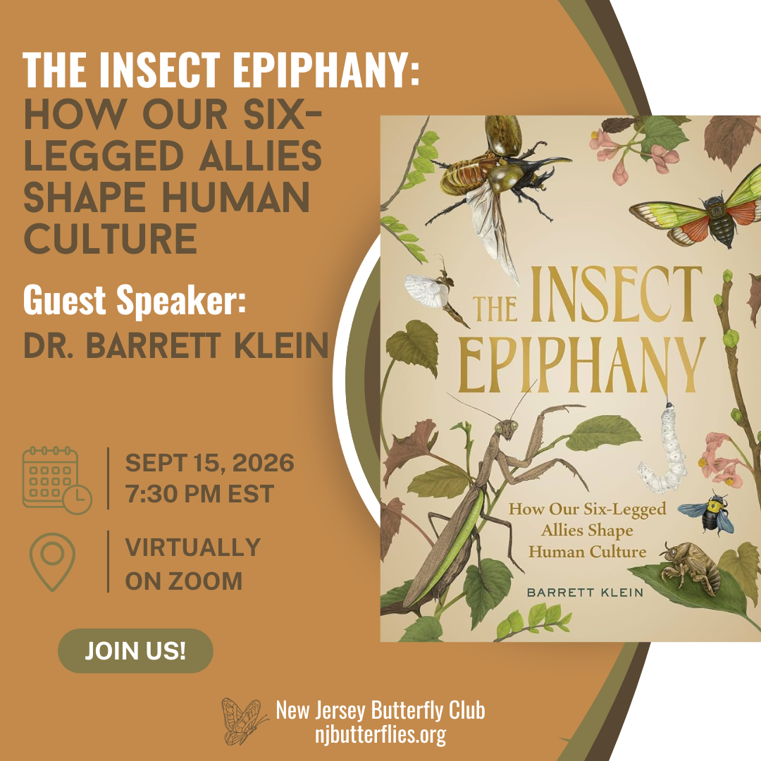 NJ Butterfly Club Newsletter