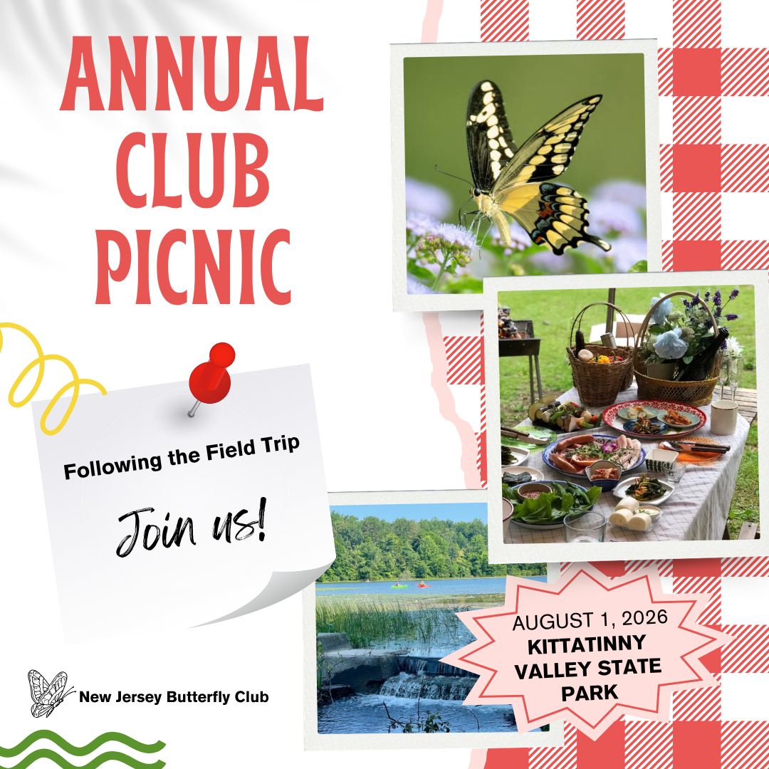 2026 Picnic