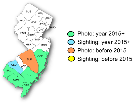 NJ Range Map-Aaron's Skipper