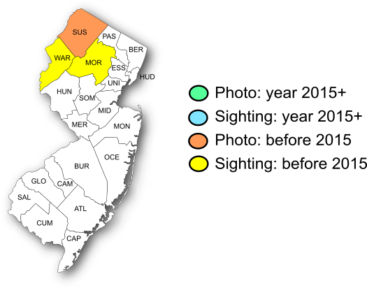 NJ Range Map-Acadian Hairstreak