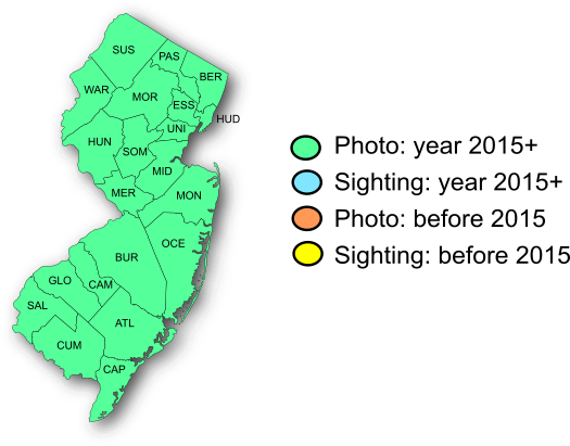 NJ Range Map-American Lady