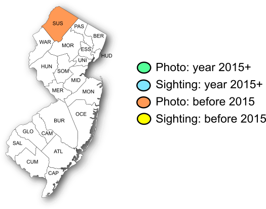 NJ Range Map-Arctic Skipper