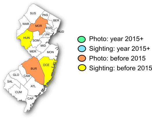 NJ Range Map-Arogos Skipper