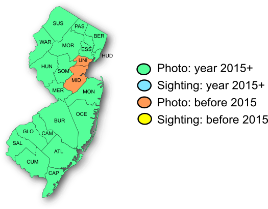 NJ Range Map-Banded Hairstreak