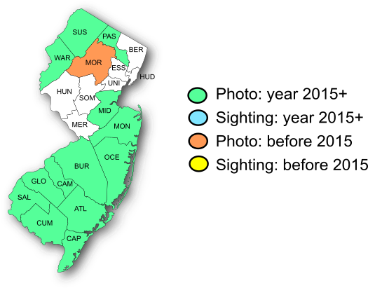 NJ Range Map-Brown Elfin