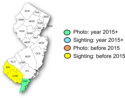 NJ Range Map-Clouded Skipper