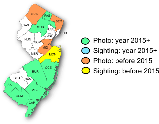 NJ Range Map-Cobweb Skipper