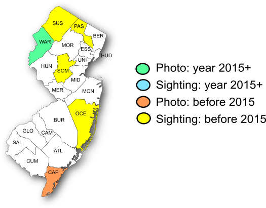 NJ Range Map-Common Roadside-Skipper