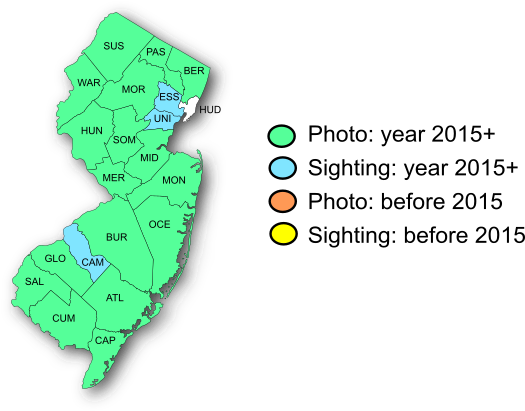 NJ Range Map-Common Wood-Nymph