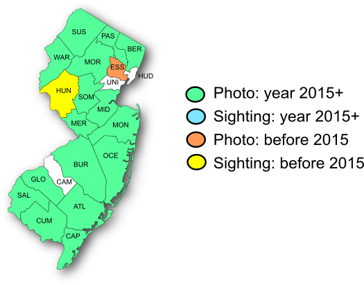 NJ Range Map-Coral Hairstreak