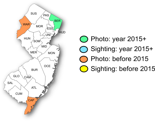 NJ Range Map-Dainty Sulphur