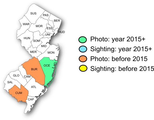 NJ Range Map-Dotted Skipper