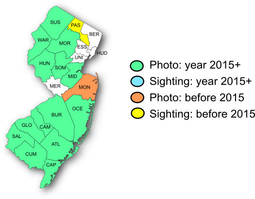 NJ Range Map-Eastern Pine Elfin