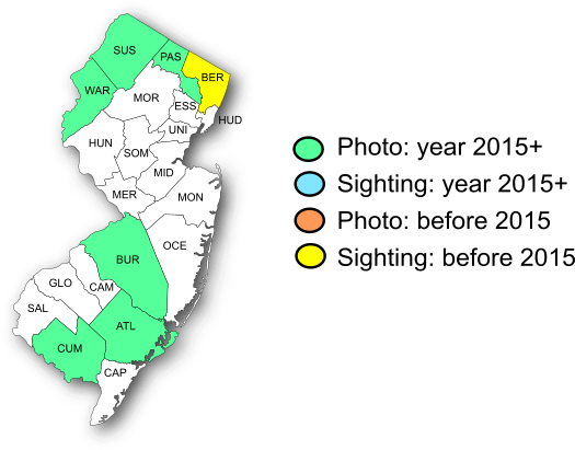 NJ Range Map-Edwards' Hairstreak