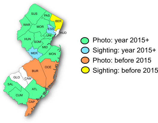 NJ Range Map-European Skipper