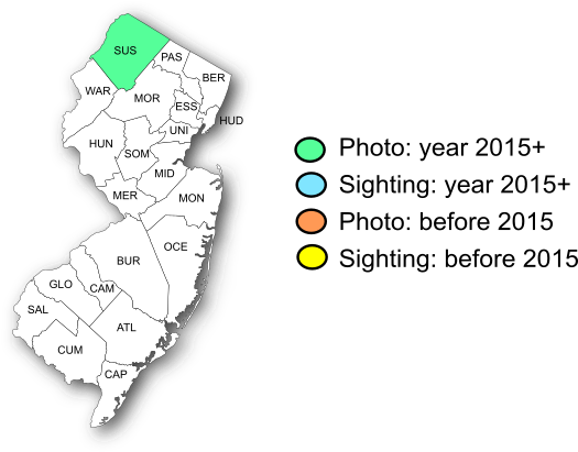 NJ Range Map-Eyed Brown