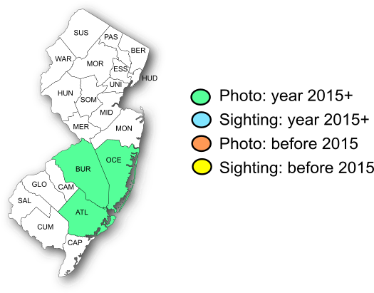 NJ Range Map-Georgia Satyr