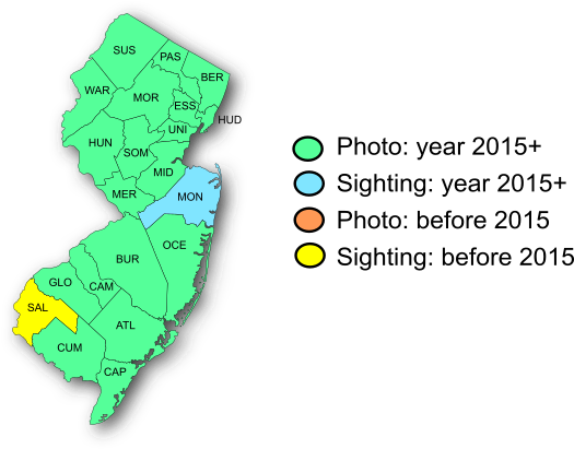 Range Map-Giant Swallowtail