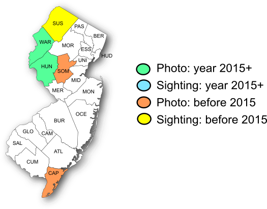 NJ Range Map-Gray Comma