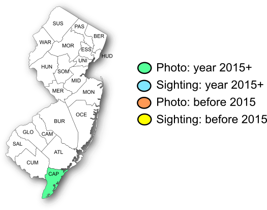 NJ Range Map-Great Purple Hairstreak