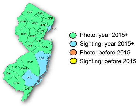 NJ Range Map-Great Spangled Fritillary