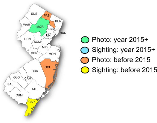 NJ Range Map-Gulf Fritillary