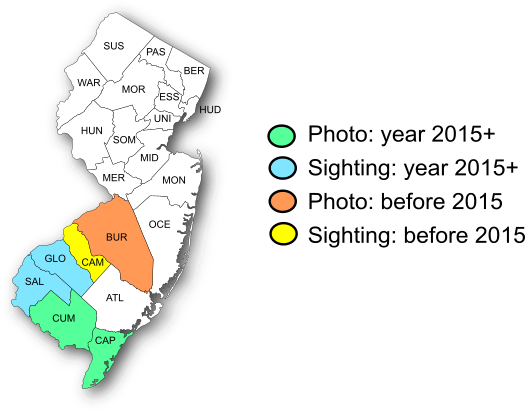 NJ Range Map-Hayhurst's Scallopwing