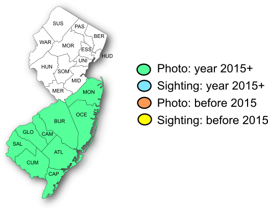 NJ Range Map-Henry's Elfin