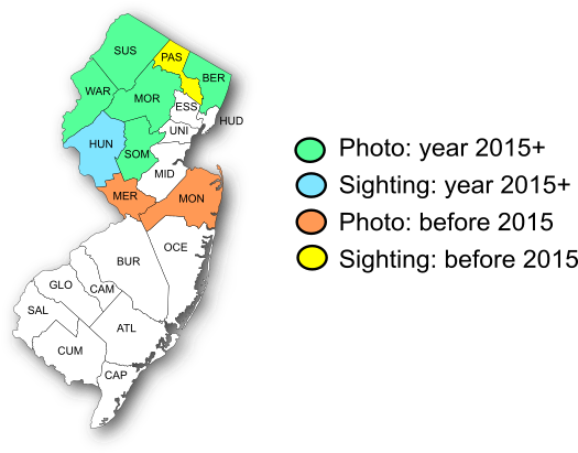 NJ Range Map-Hickory Hairstreak