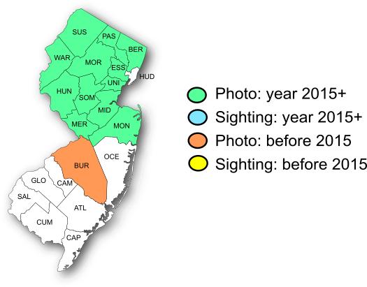 NJ Range Map-Hobomok Skipper