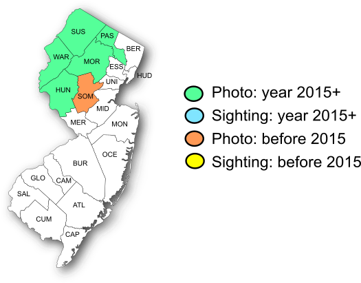 NJ Range Map-Indian Skipper