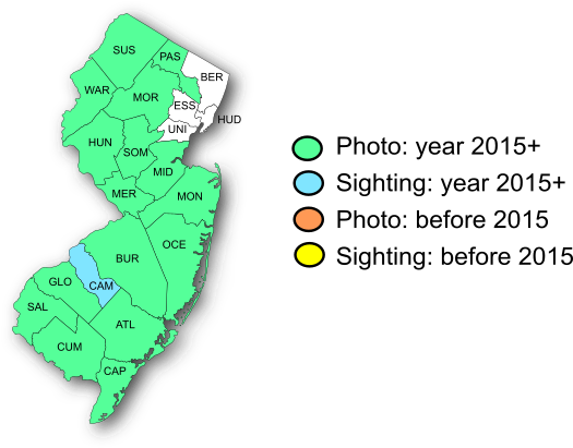 NJ Range Map-Juniper Hairstreak