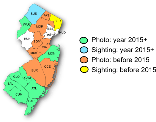 NJ Range Map-Little Yellow