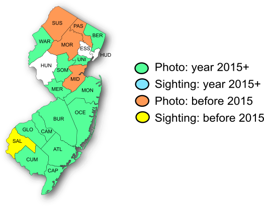 NJ Range Map-Long-tailed Skipper