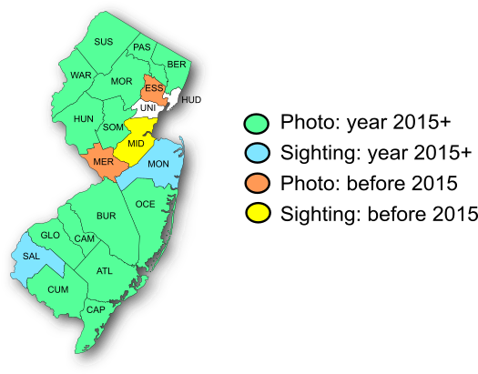 NJ Range Map-Northern Cloudywing