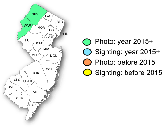 NJ Range Map-Northern Metalmark