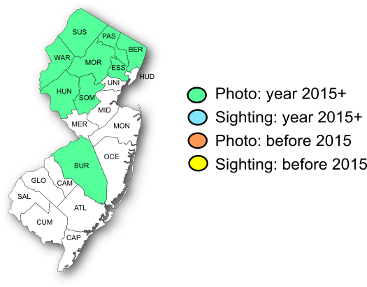 NJ Range Map-Northern Pearly-eye