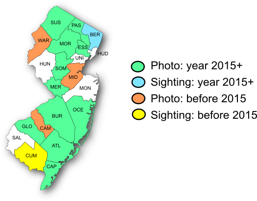 NJ Range Map-Oak Hairstreak