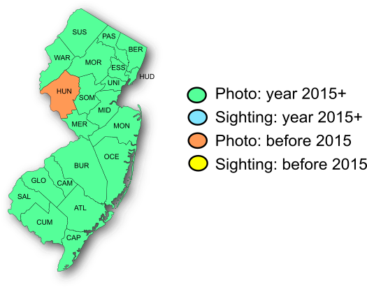 NJ Range Map-Ocola Skipper