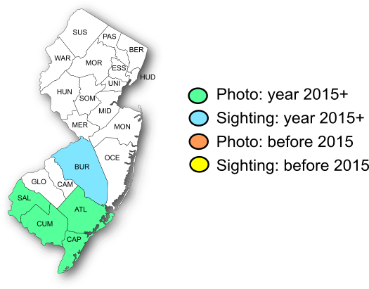 NJ Range Map-Rare Skipper