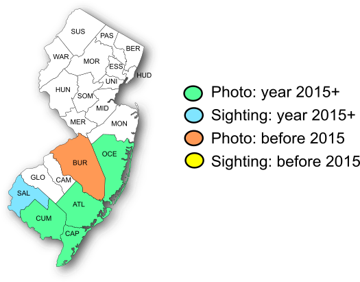 NJ Range Map-Salt Marsh Skipper