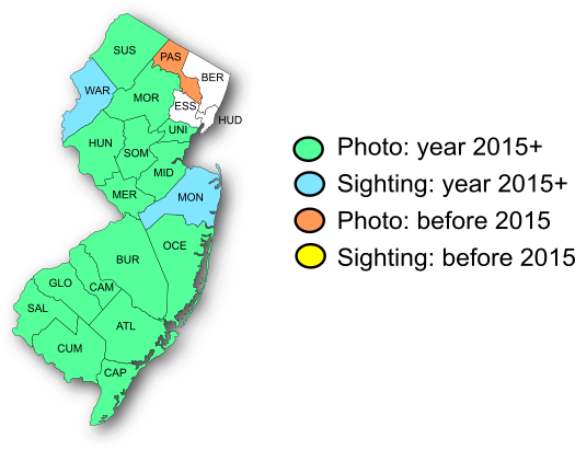 NJ Range Map-Sleepy Orange