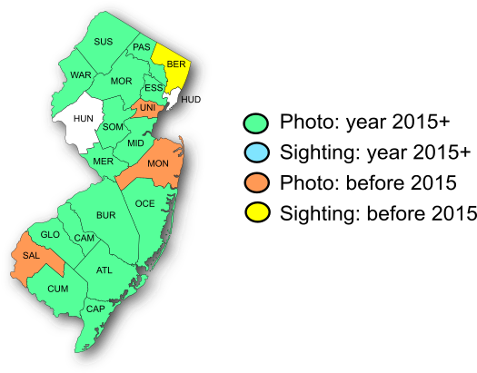 NJ Range Map-Striped Hairstreak