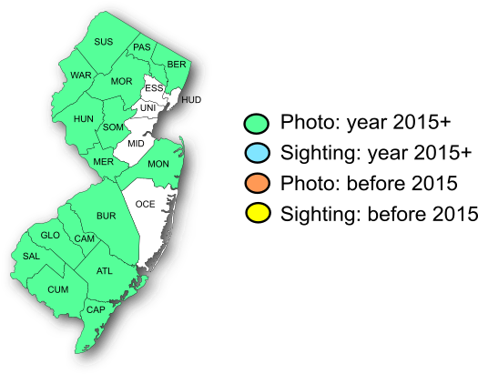 NJ Range Map-Tawny Emperor