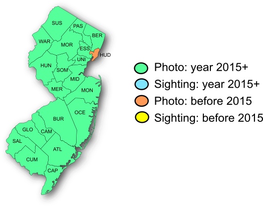 NJ Range Map-Variegated Fritillary