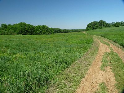 Conservation Center Trail