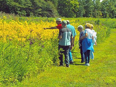 Crosswicks Creek Meadow