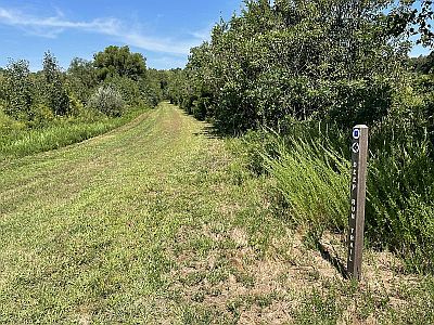 Trail Towards Pond