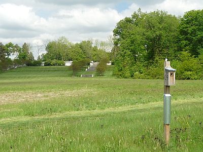 Great Meadow