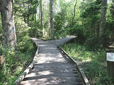 Estell Boardwalk